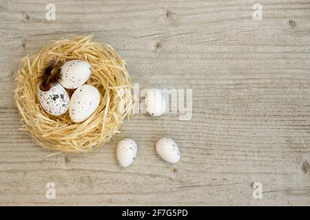 Ostereier im Nest auf dem Holzhintergrund. Platzieren Sie, um Ihren Text einzufügen. Frühlingsferien. Stockfoto