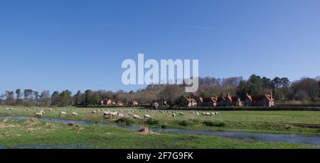 4 April 2021 - Bucks, UK: Blick über Feld und Bach mit Schafen und Häusern Stockfoto