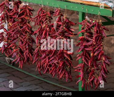 Traditionelle getrocknete rote, scharf gewürzte Chilischoten, Paprikaschoten, die hängen, essentielle Gewürze, ungarische Küche Stockfoto