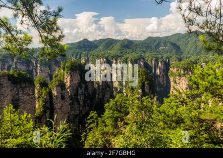 Landschaft des Zhangjiajie National Forest Park in der Provinz Hunan, China Stockfoto