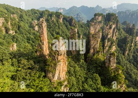 Sandsteinsäulenlandschaft in Wulingyuan Scenic and Historic Interest Area im Zhangjiajie National Forest Park in der Provinz Hunan, China Stockfoto