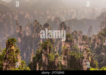 Felsenlandschaft von Wulingyuan Scenic and Historic Interest Area im Zhangjiajie National Forest Park in der Provinz Hunan, China Stockfoto