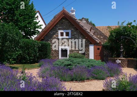 Verträumtes Steinhaus in einem traditionellen mediterranen Dorf mit einem Garten voller ornamentlicher Lavendelblüten und einer Statue, Tihany Ungarn Stockfoto