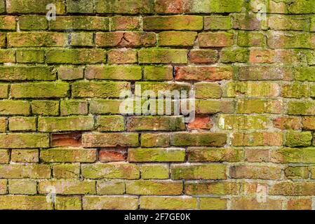 Mehrfarbige Backsteinwand Hintergrund Vielzahl von Ziegeln Backsteinwand gemacht Mit alten wiedergewonnenen Ziegeln in einem regelmäßigen Muster Stockfoto