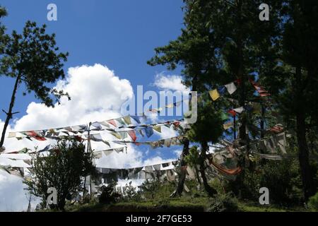 Buddhistische Gebetsfahnen wehen bunt im Wind. Im Königreich Bhutan im Himalaya, Asien, als Fahnen und stehende Fahnen mit Bitten und Beten Stockfoto