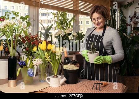 Ältere Gärtnerin mit Gläsern, die freudig einen Blumentopf in sich hält Ihre Hände auf dem Hintergrund eines Hausgartens Stockfoto