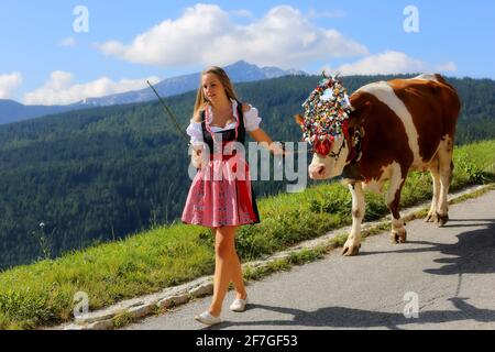 Schöne attraktive Frau mit zaubernder Tracht und Dirndl führt Kuh Beim Almabtrieb bzw. Viehscheid ins Tal in Südtirol in den Dolomiten in Italien Stockfoto