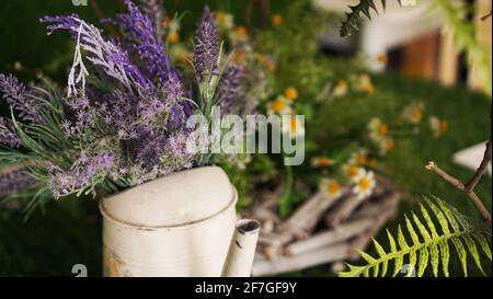 Lavendel in einer alten Teekannen. Grünes Gras und Kamille auf unscharfem Hintergrund Stockfoto