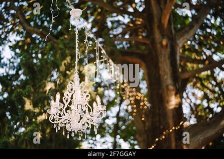 Kristallleuchter mit 6 Lichtpunkten, der an einem Baum hängt. Stockfoto