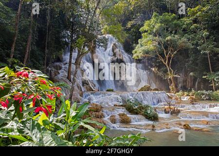 Kuang Si Falls / Kuang Xi Falls / Tat Kuang Si Wasserfälle im Dschungel bei Luang Phabang / Luang Prabang, Laos Stockfoto