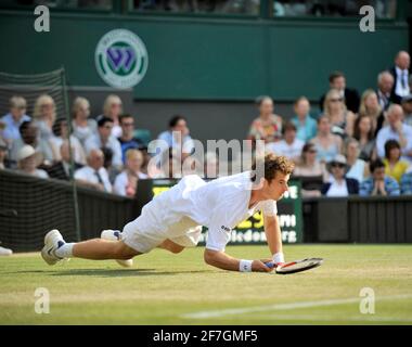 WIMBLEDON TENNIS CHAMPIONSHIPS 2008. 7TH TAG 30/6/2008 ANDT MURRAY WÄHREND SEINES SPIELS MIT R.GASQUET. BILD DAVID ASHDOWN Stockfoto