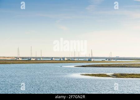 Segelboote und Yachten, die auf den Feuchtgebieten der Ria Formosa in Faro, Algarve, Südportugal, anlegen Stockfoto