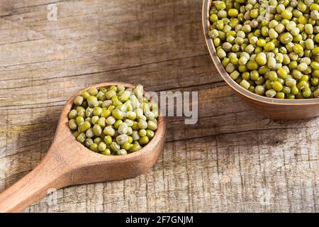 Bean Mung Sorte von Bohnen in grüner Farbe - Vigna Radiata Stockfoto