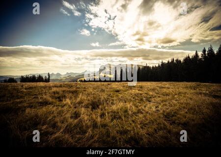 Landschaftsansicht der Moleson Berge mit ihren Wiesen und Wäldern, aufgenommen in Moleson, Fribourg, Schweiz Stockfoto