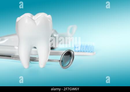 Weißer großer gesunder Zahn und verschiedene Werkzeuge für die Zahnpflege. Auf gradientenem zahnmedizinischem Hintergrund. Stockfoto