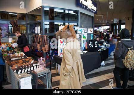 Das Spiel- und Cosplay-Festival NärCon Winter 2016 in der Saab Arena, Linköping, Schweden. Stockfoto