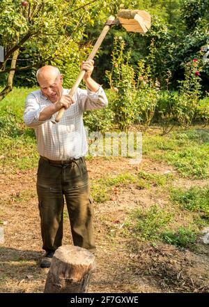 Älterer Mann, der im Garten Holz mit Axt spaltet. Stockfoto