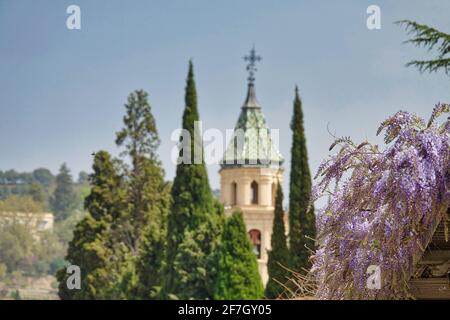 Nahaufnahme der violetten Glyzinien-Blumen mit dem Glockenturm von Die Escolapios Kirche in Granada (Spanien) unter Zypressen in Der Hintergrund Stockfoto