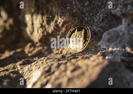 Nahaufnahme von Dogecoin mit Shiba Inu Hund auf einem Stein im Freien mit weichem Sonnenuntergang Licht auf Felsen Hintergrund mit Kopierraum. Einzelnes physisches Metall-Gold-Schienchen Stockfoto