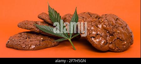 Panorama Süßigkeiten mit Marihuana auf rotem Hintergrund. Cannabis-Kekse und grünes Blatt Nahaufnahme Stockfoto