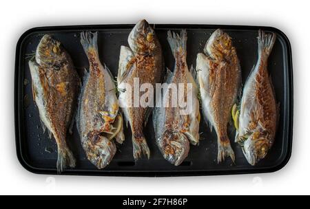 Sechs Oradafische werden auf einem elektrischen Grill zubereitet, isoliert auf Weiß. Frisches und leckeres Sommeressen. Stockfoto