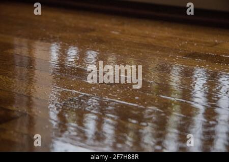 Schlechter oder rauer Lack auf Parkettboden. Schlechter Zustand des Holzbodens, wellige und unebene Lackoberfläche. Stockfoto