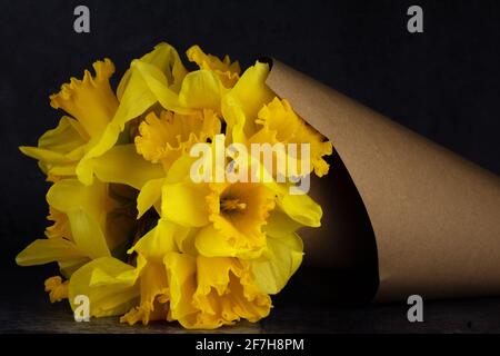 Ein schönes Bouquet von wilden Narzissen (Narcissus pseudonarcissus) in einem Papierkegel. Stockfoto
