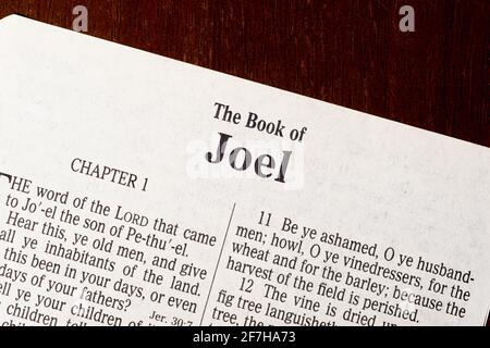 Dies ist die King James Bibel, die 1611 übersetzt wurde. Es gibt keine Urheberrechte. Titelseite des Buches Joel Stockfoto