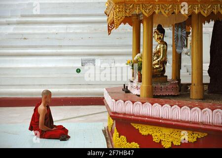 Mönch, der vor einer buddha-Statue sitzt, Shwedagon Pagode, Yangon, Myanmar Stockfoto