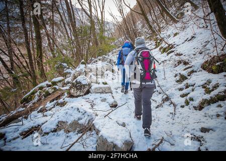 Eine Gruppe von Wanderern geht auf einem verschneiten Pfad bergauf. Waldweg mit Schnee bedeckt und Menschen mit Rucksäcken zu Fuß. Stockfoto