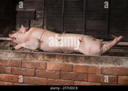 Schwein auf einem Metallstab wird vorbereitet, um auf einem traditionellen balkan-Grill namens rostilj oder odojek gedreht zu werden. Frisches Schwein wartet auf einen Grill. Stockfoto