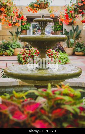 Wasserbrunnen aus Marmor in Hobart, Tasmanien, umgeben von Blumen unterschiedlicher Art. Stockfoto