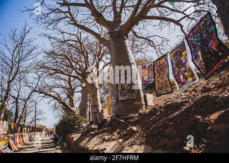 ILLE DE GOREE, SENEGAL, 11.2.2018: Typische Kunst mit Bildern und Decken, die an Baobab-Bäumen auf der Insel Goree hängen. Local versucht, einige mone zu machen Stockfoto