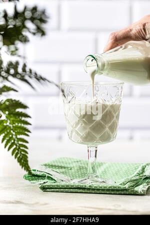 Kefir werden aus einer Flasche in einen Glasbecher gegossen. Fermentierte trinken Kefir, Joghurt in einem Glas auf einem hellen Hintergrund. Probiotische kaltfermentierte Molkerei dr Stockfoto