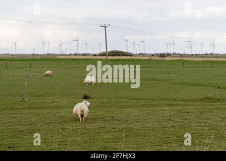 Turbinen im Windpark Little Cheyne Court an der Südküste im Osten von Sussex, England Stockfoto