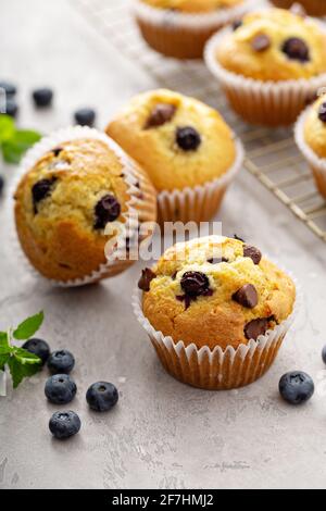 Schokoladenchip und frisch gebackene Blaubeer-Muffins Stockfoto