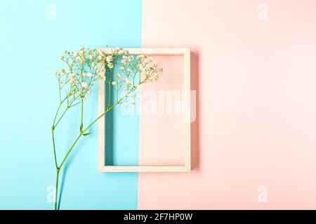 Flach mit Gipsophila-Blume auf pastellblauer und pinker Textur legen. Frühjahrskonzept mit Kopierraum. Von oben. Stockfoto