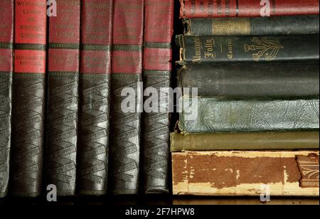 Eine Sammlung von roten und schwarzen antiken Büchern. Bearbeitete Dornen benennen die Wissenschaften in einem bandähnlichen Muster. Stockfoto