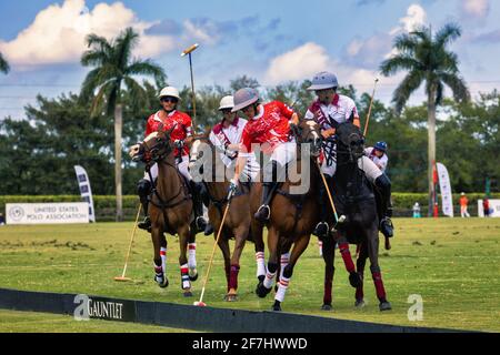 WEST PALM BEACH, FL - 14. MÄRZ 2021: Coca Cola spielt den Ball gegen das Pilot Polo Team während des USPA Gold Cup im International Polo Club Stockfoto