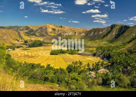 Erkunden Sie den Wasserfall TANGGEDU, der sich im Dorf Tanggedu, Bezirk Kanatang, Regency East Sumba, East Nusa Tenggara, Indonesien befindet. Aufgenommen Stockfoto