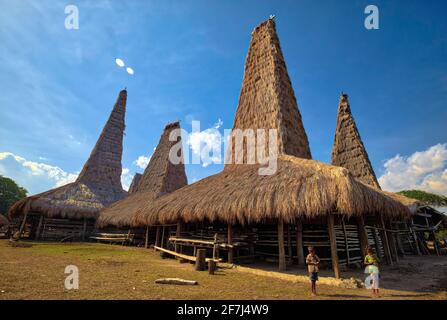 Das traditionelle Haus Ratenggaro verfügt über ein Bühnenhaus mit 4 Ebenen, in denen die unterste Ebene als Platz für Haustiere genutzt wird. Dann ist die zweite Ebene whe Stockfoto