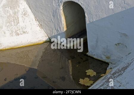 Betonabflussgraben in Form eines weißgetünchten Bogens Oder nach Regen und Herbst weiß mit Wasser bemalt Gelbe Ahornblätter unter der Straße oder Stockfoto