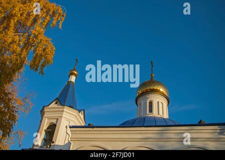 Die Spitze der weißen Wand der orthodoxen Kirche mit gewölbtem Relief, Glockenturm mit blauen Dächern und vergoldeten Kuppeln von Kreuzen, Birkenkronen auf der linken Seite Stockfoto