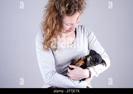 Als Teil einer Hündin hält sie liebevoll einen winzigen schlafenden Jack Russel Terrier Welpen in ihren Armen Stockfoto