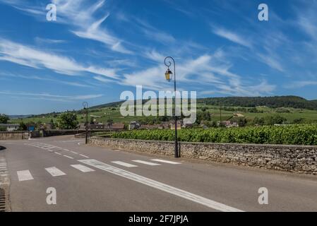 Blick auf die Straße und den Weinberg im Burgund Bourgogne, Heimat von Pinot Noir und chardonnay am Sommertag mit blauem Himmel. Cote d’Or Stockfoto