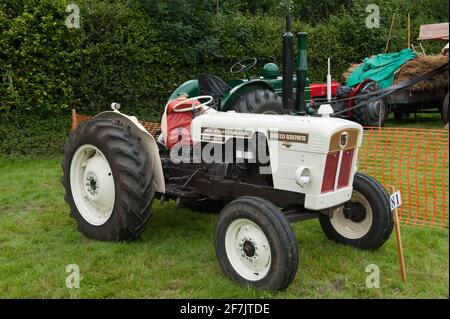 Vintage White David Brown Selectamatic 780 Livedrive Traktor in Chagford Landwirtschaftsmesse Stockfoto