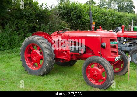 Vintage Red 1950 David Brown 25D Traktor in Chagford Agricultural Anzeigen Stockfoto