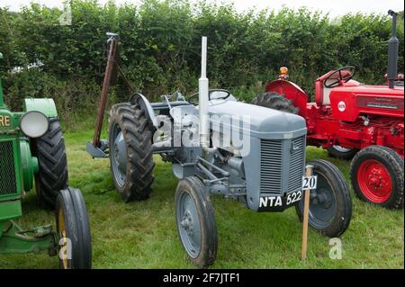 Vintage Grey Ferguson TE20 Traktor auf der Chagford Agricultural Show Stockfoto
