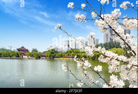 Hohe Gebäude und alte Gebäude am See, Blick auf Xi'an, China Stockfoto