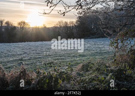 Sonnenaufgang über dem Jakobsweg Stockfoto